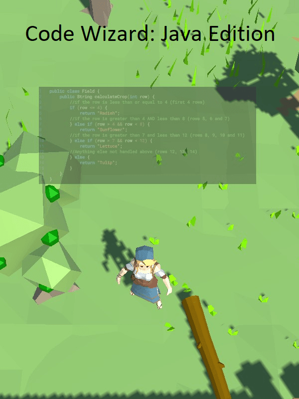 Code Wizard: Java Edition cover