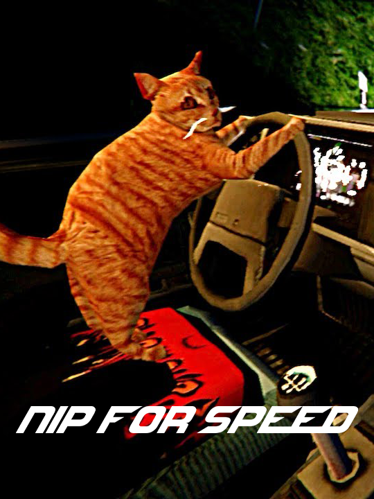 Nip For Speed cover