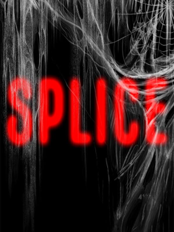 Splice cover