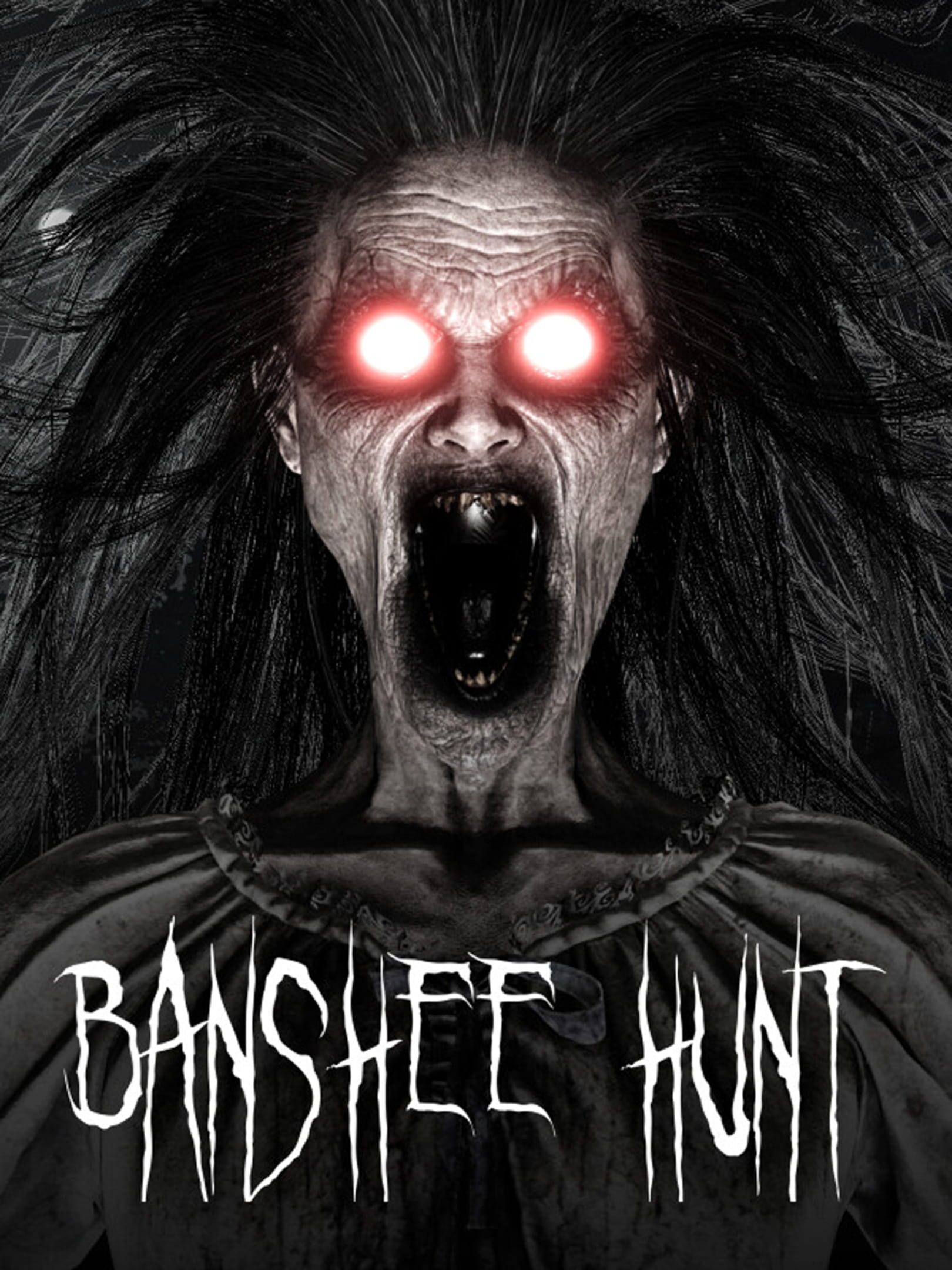 Banshee Hunt cover