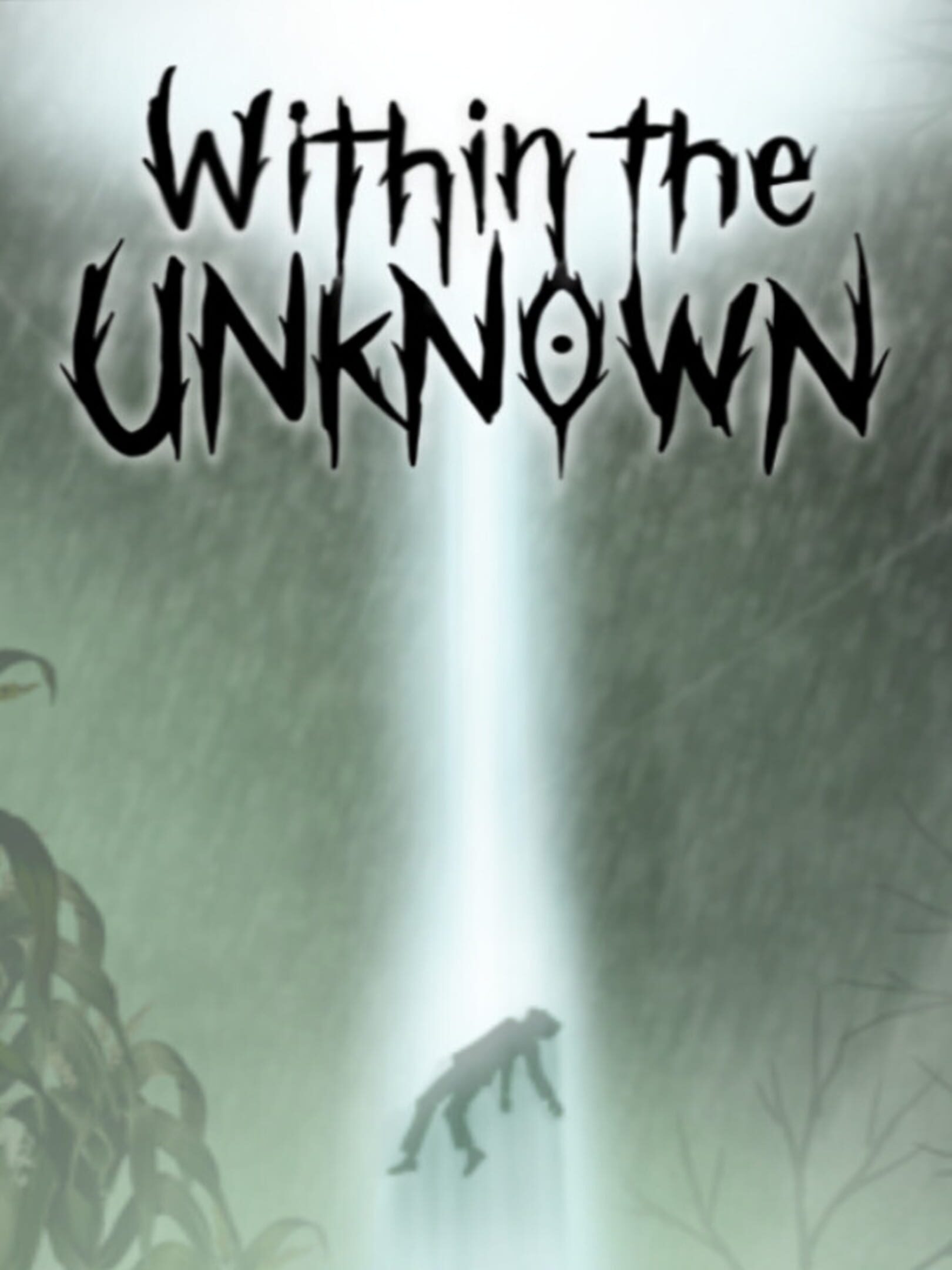 Within the Unknown cover