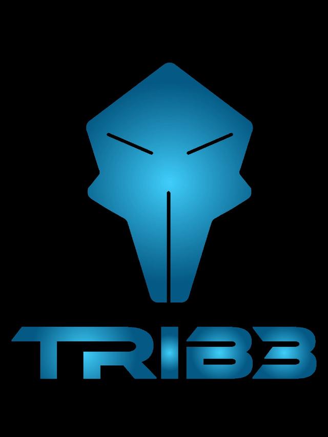 TRIB3 wallpaper