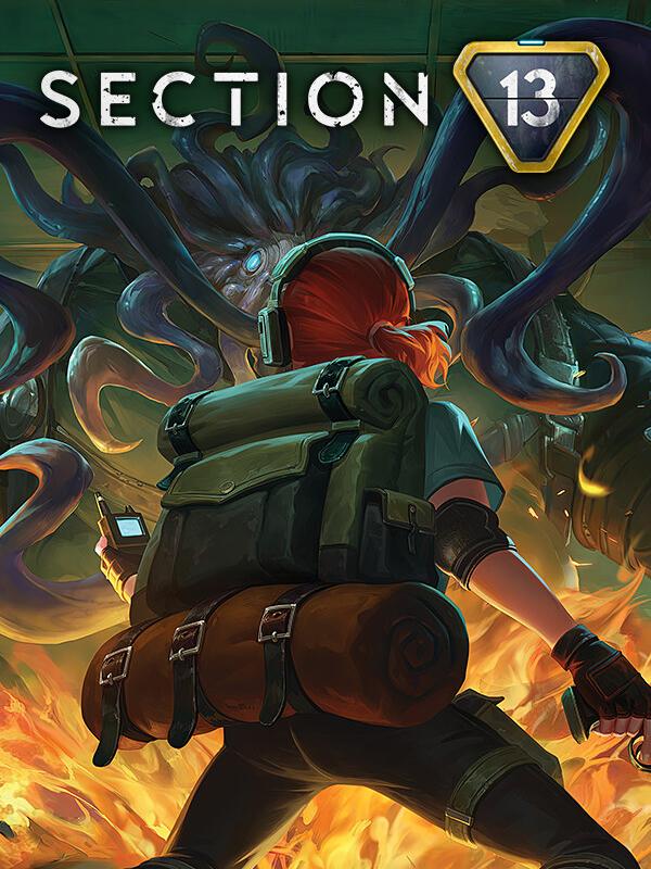 Section 13 cover