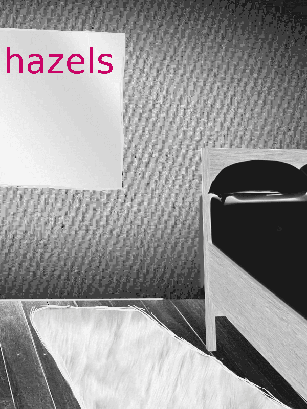 Hazels cover