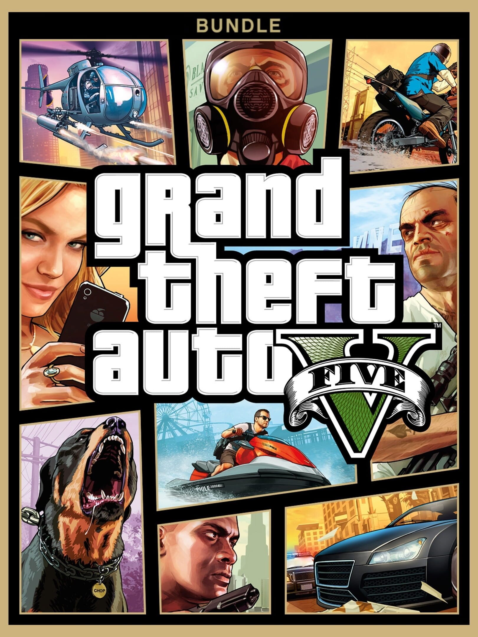 Grand Theft Auto V cover