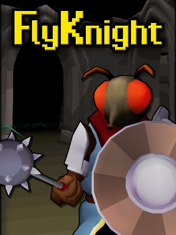 FlyKnight cover