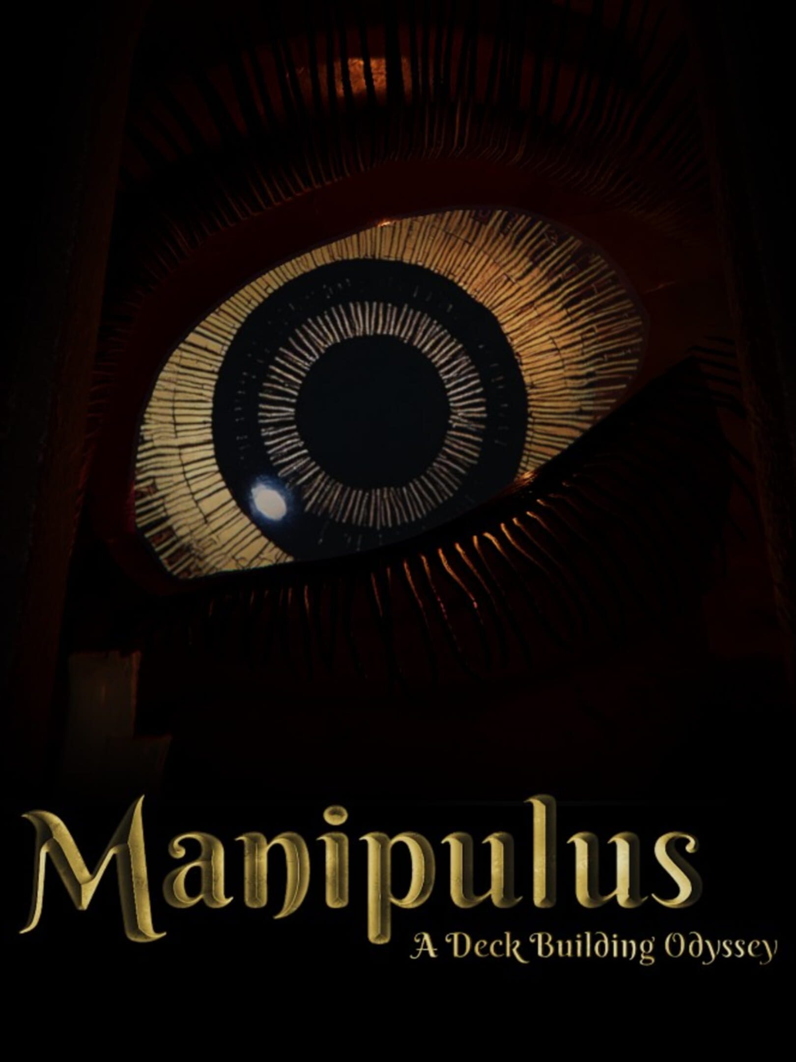 Manipulus cover