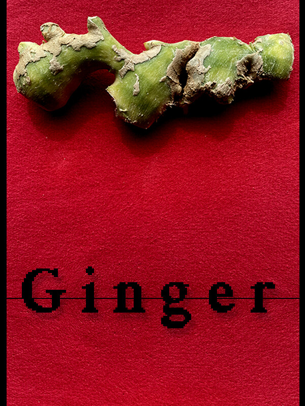 Ginger cover