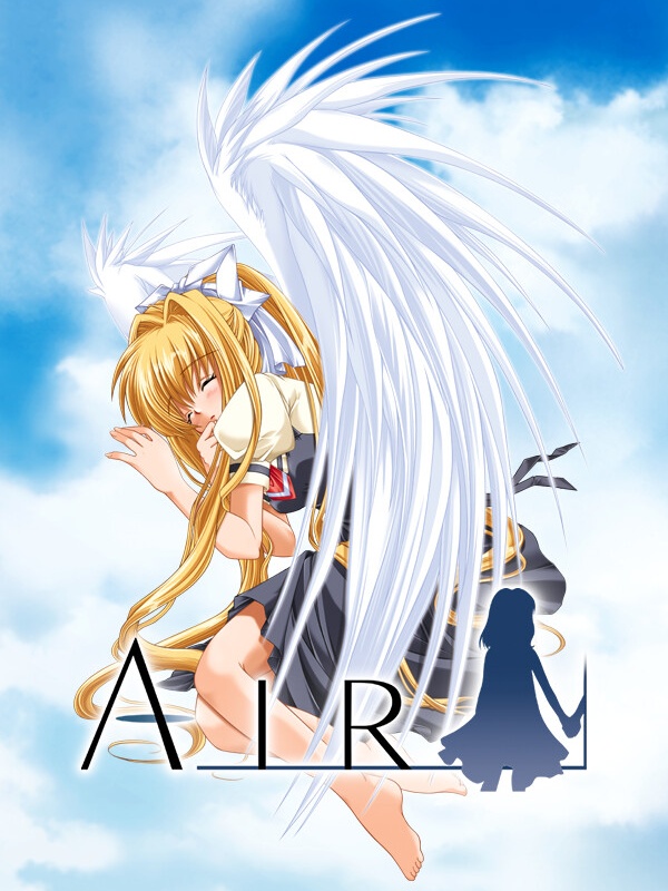 Air cover