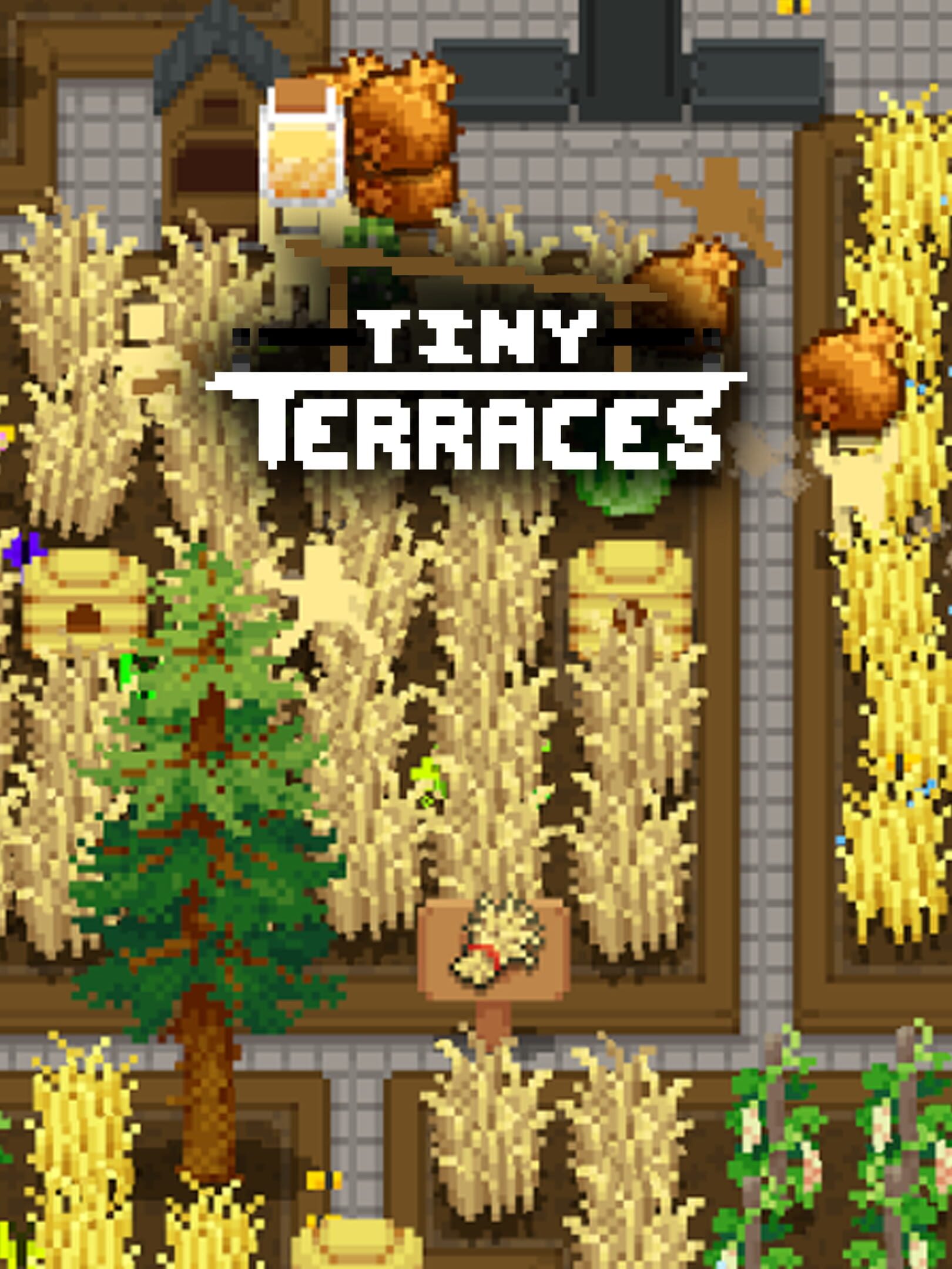 Tiny Terraces cover