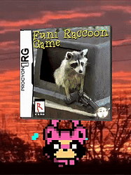 Funi Raccoon Game cover