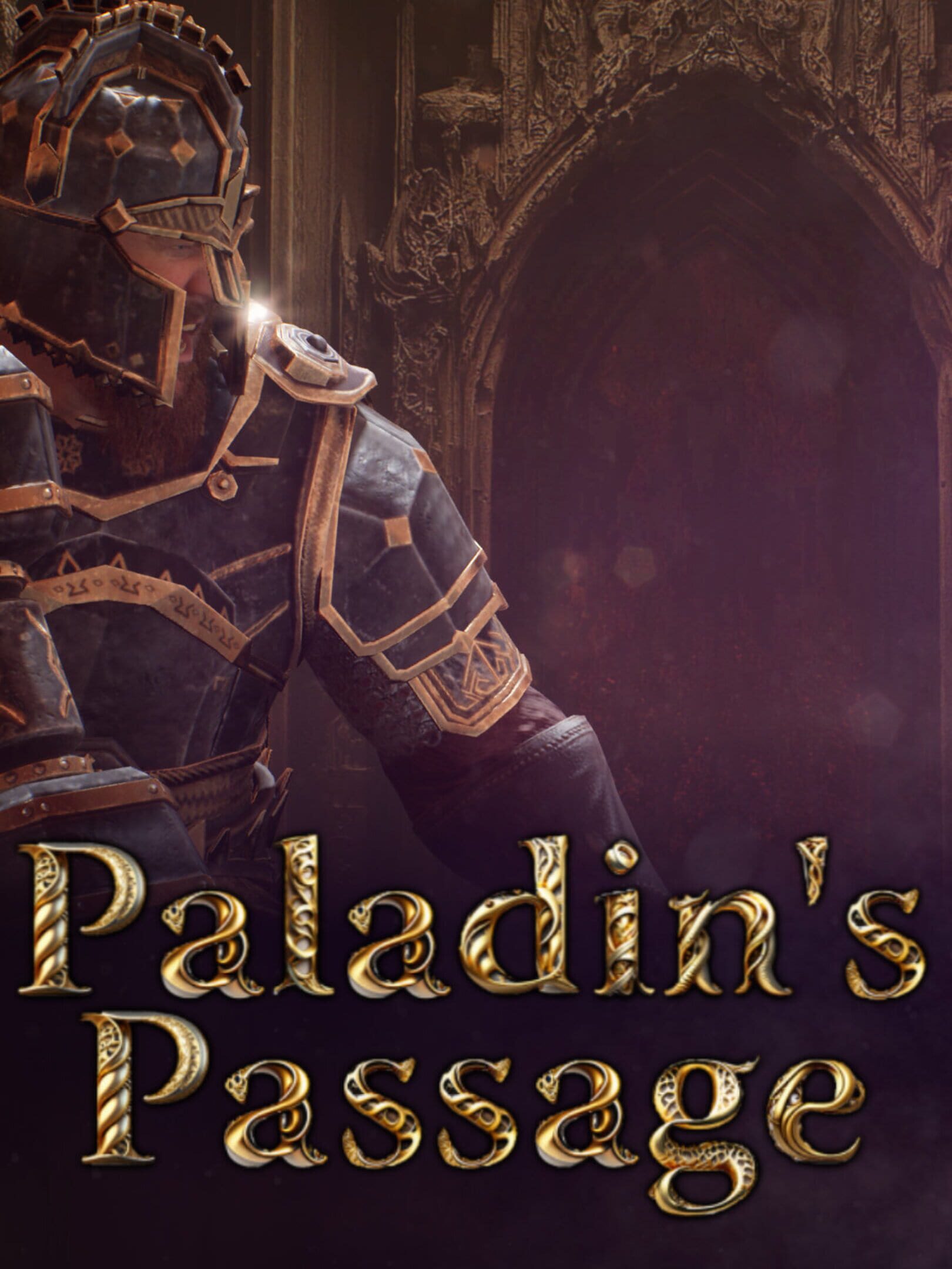 Paladin's Passage cover