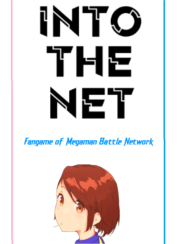 Into The Net cover