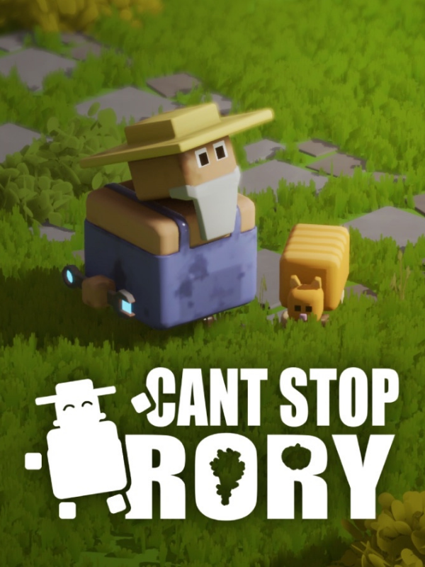 Can't Stop Rory cover