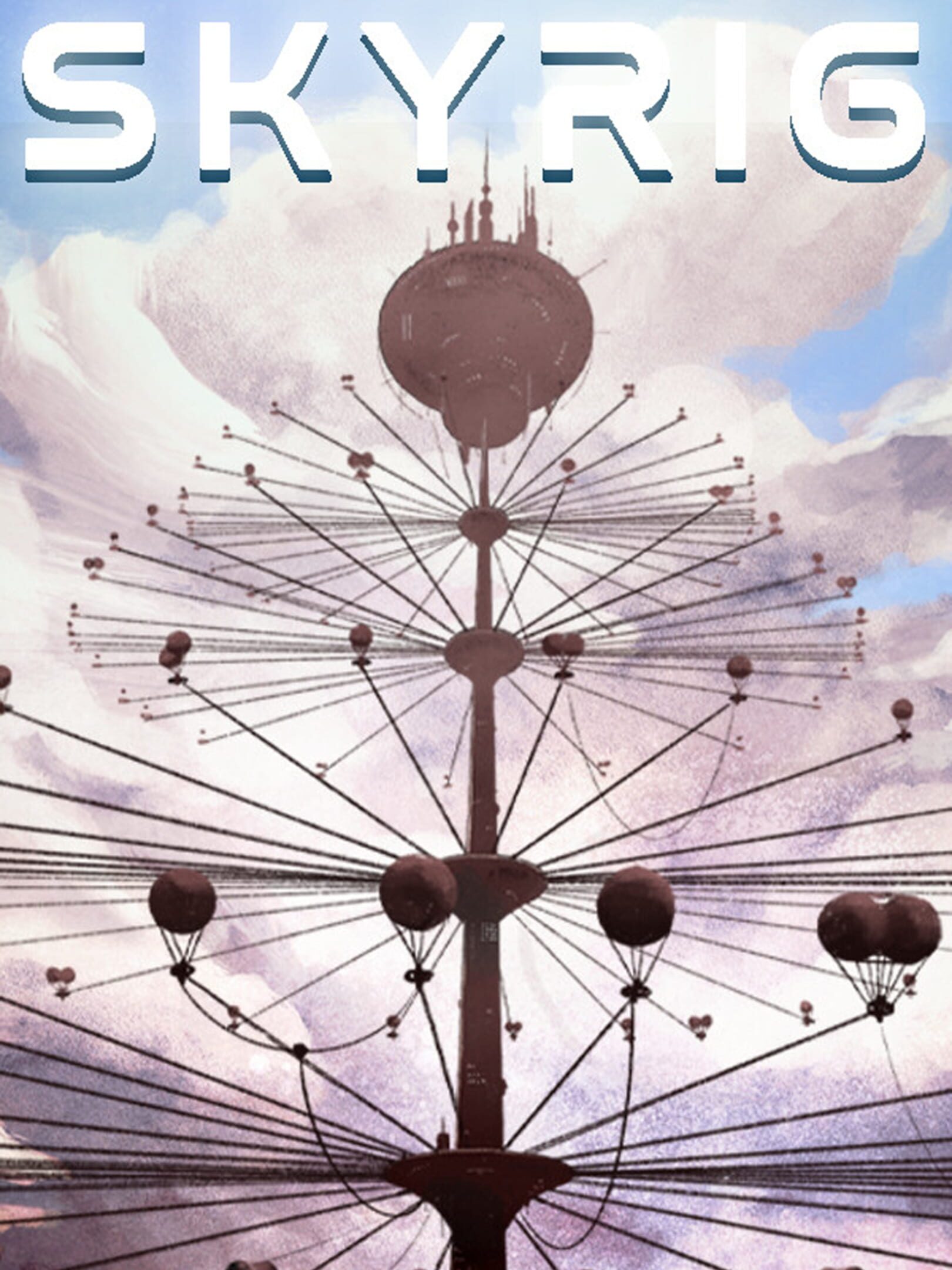 SkyRig cover