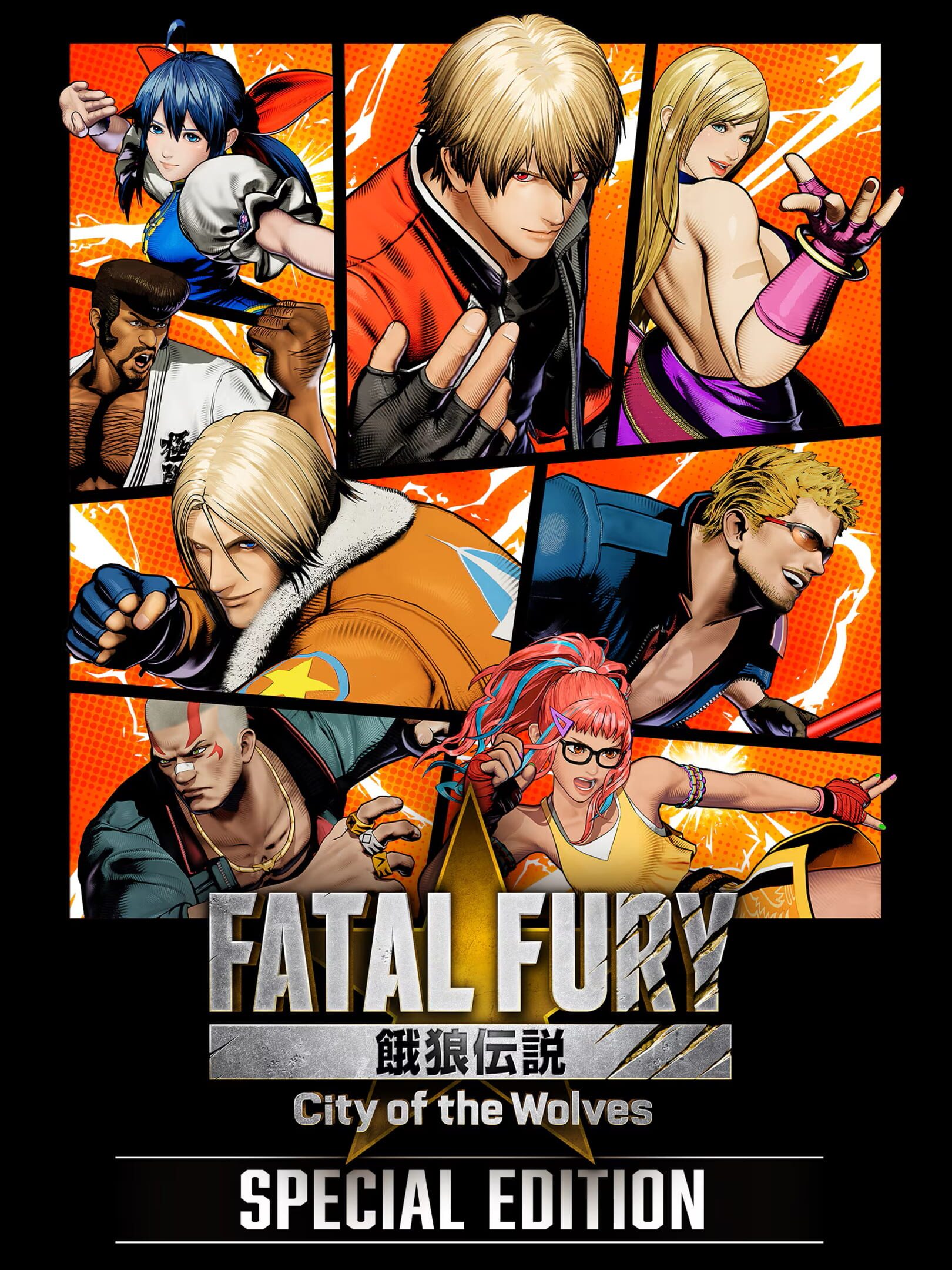 Fatal Fury: City of the Wolves - Special Edition cover