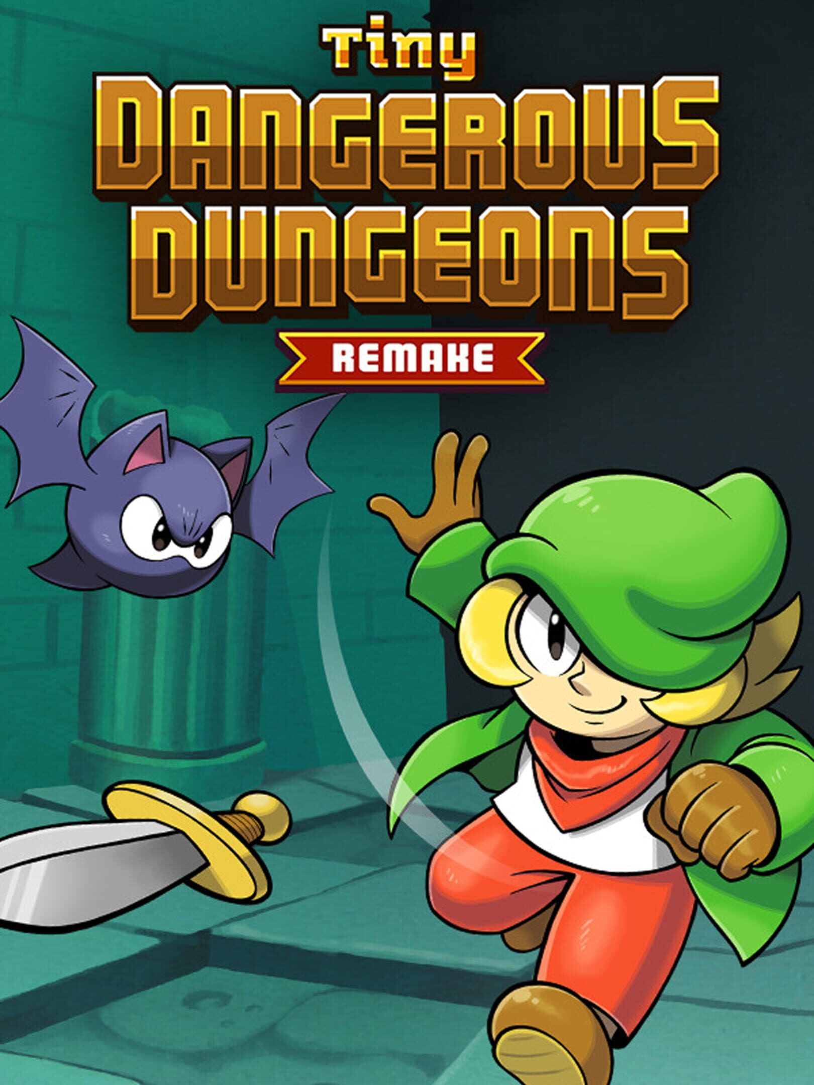 Tiny Dangerous Dungeons Remake cover