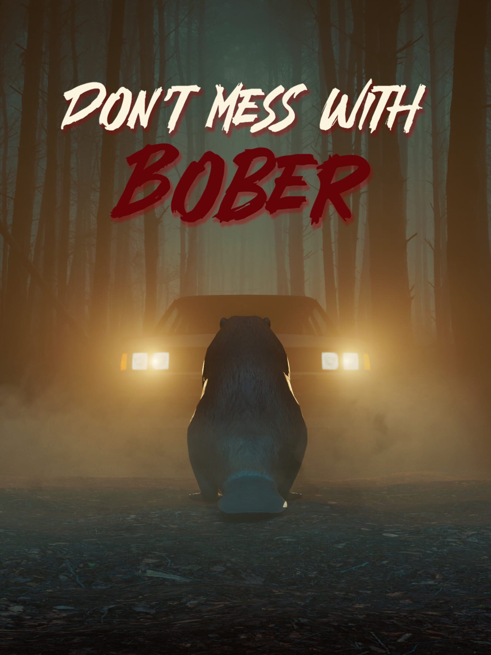 Don't Mess With Bober cover