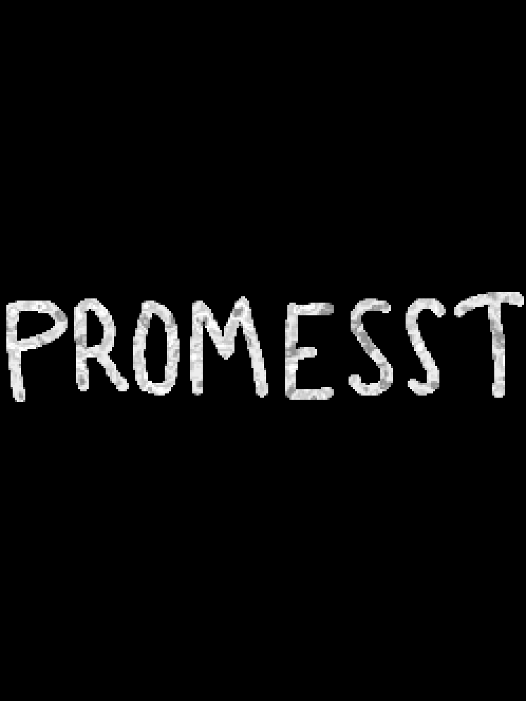 Promesst cover