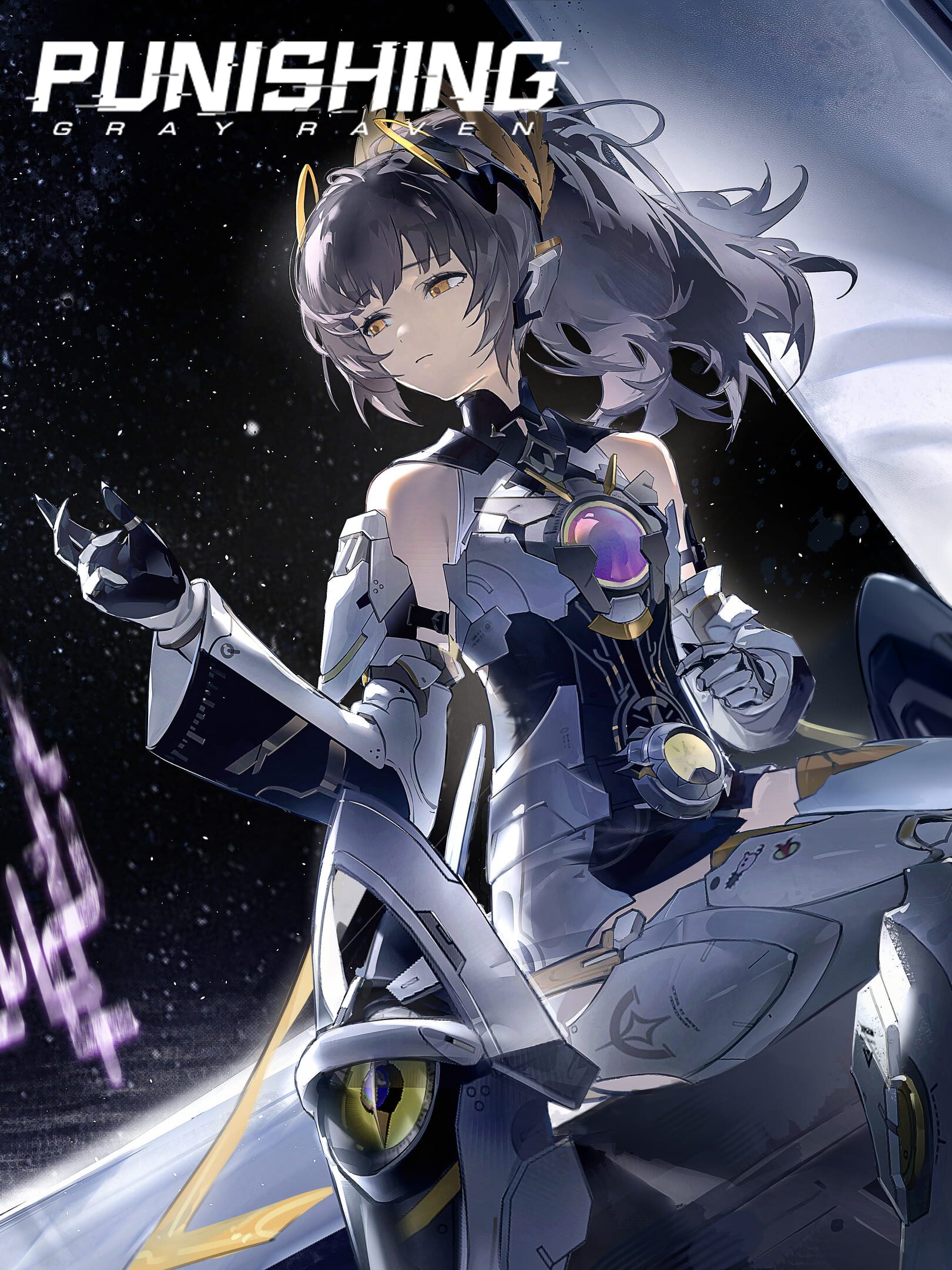 Punishing Gray Raven cover