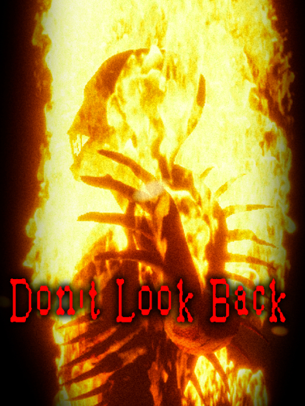 Don't Look Back! cover