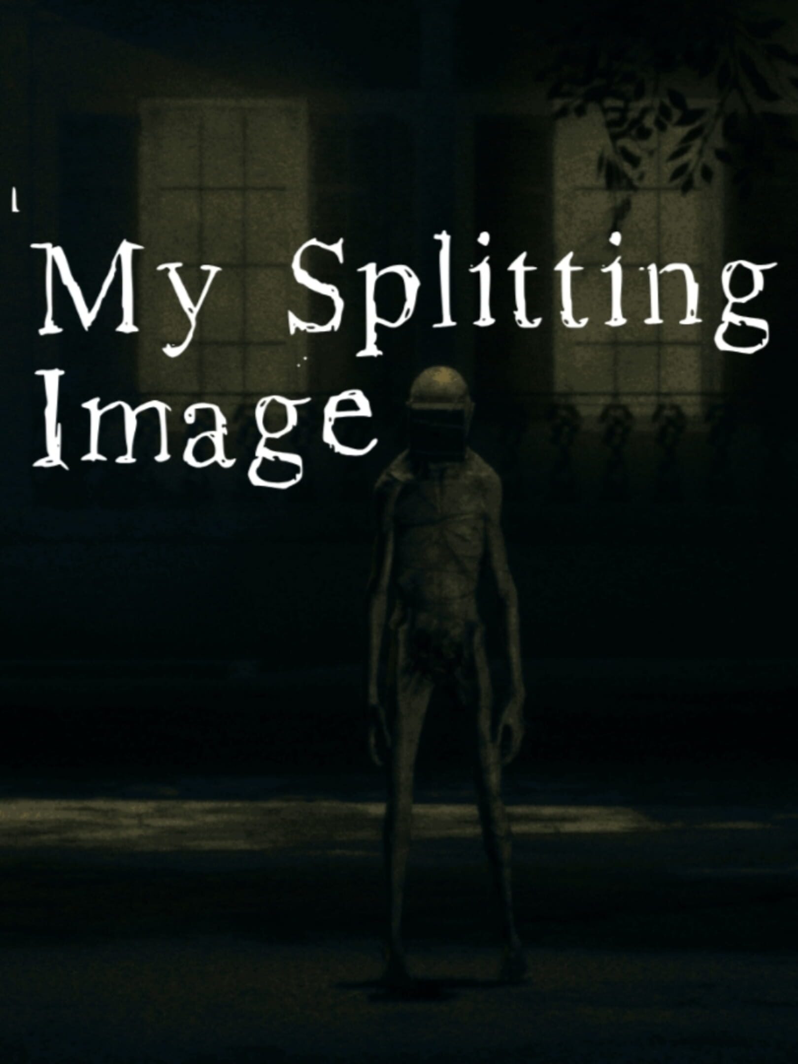 My Splitting Image cover
