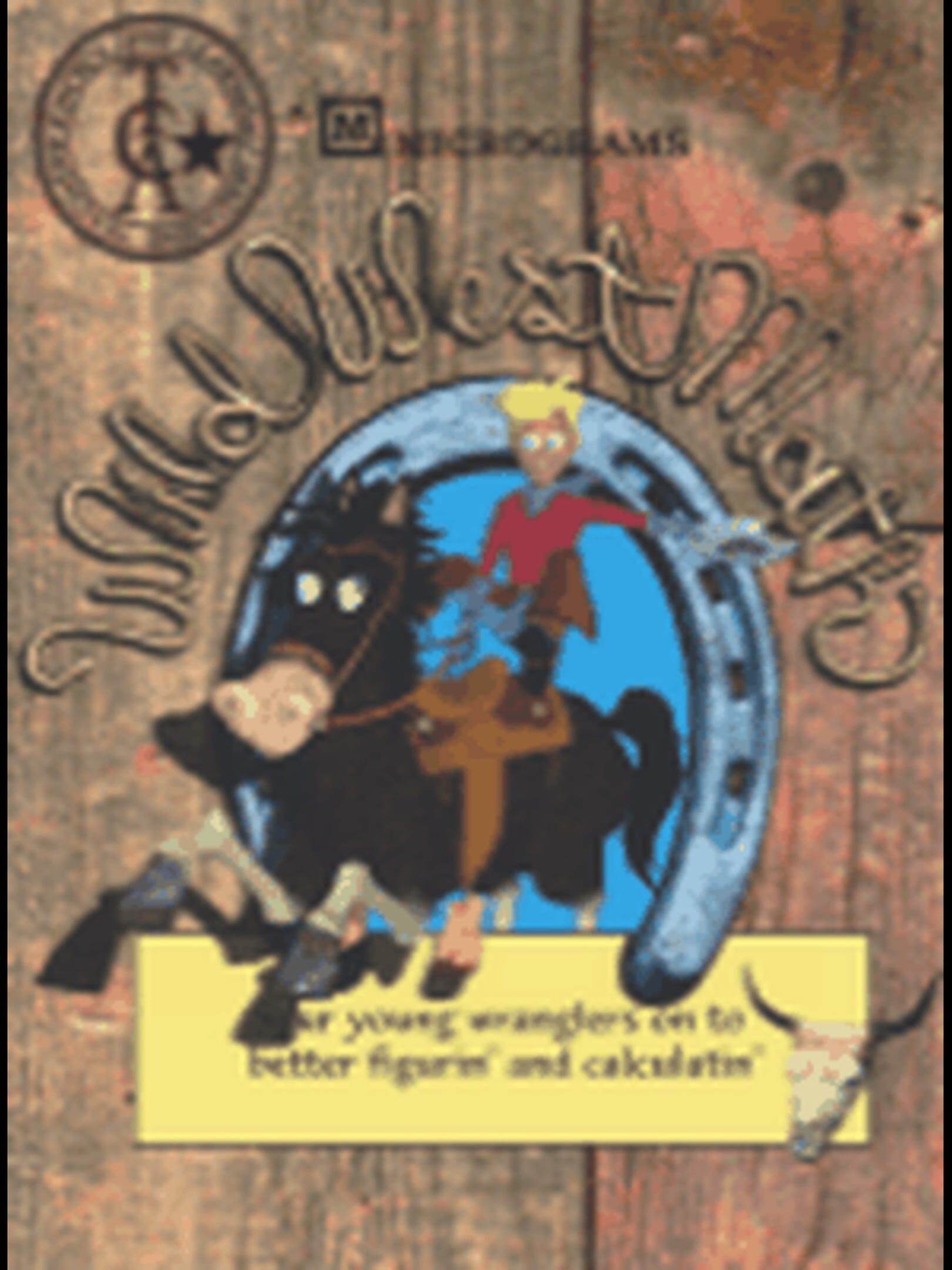 Wild West Math cover