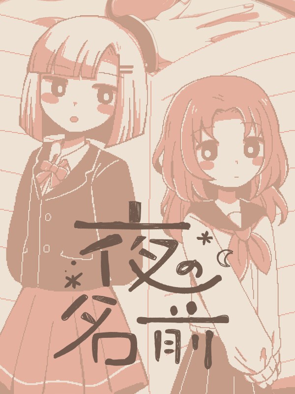 The Name of the Night cover