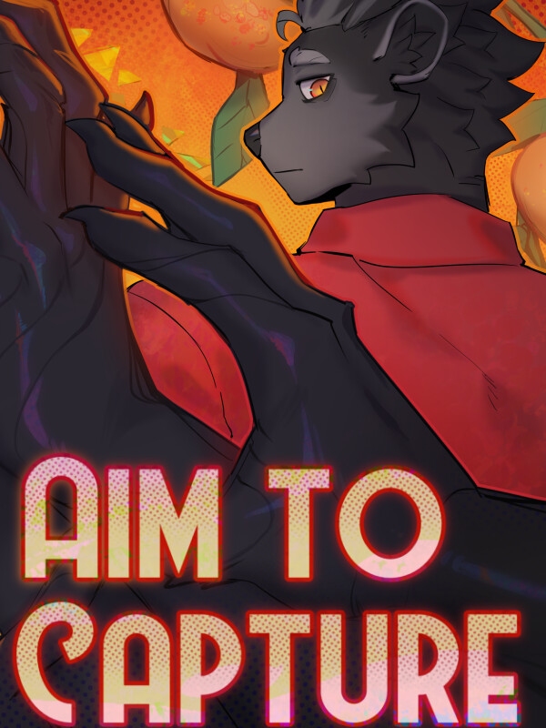 Aim To Capture cover