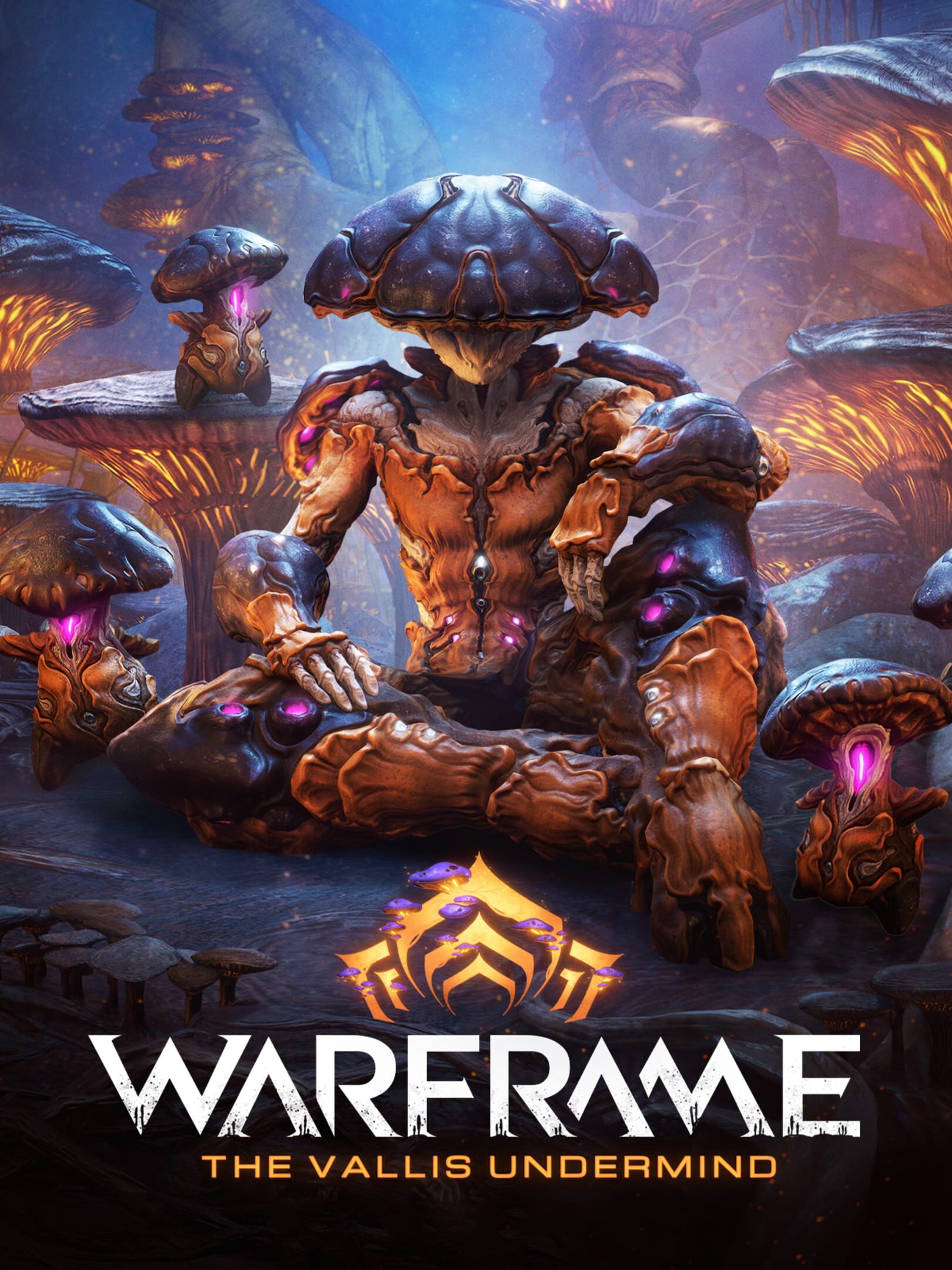 Warframe: The Vallis Undermind cover