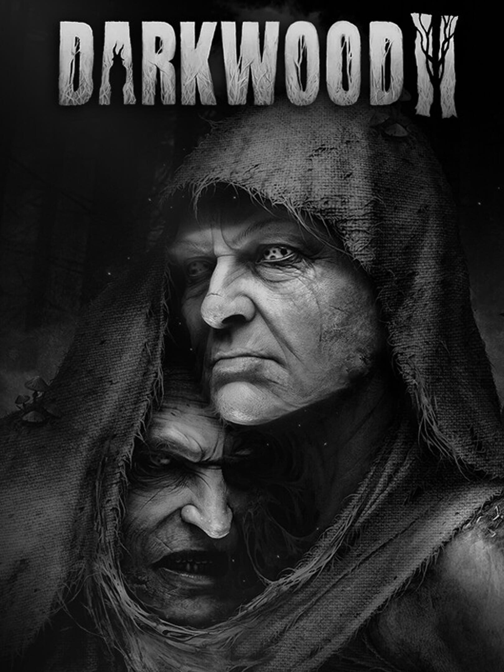 Darkwood II cover