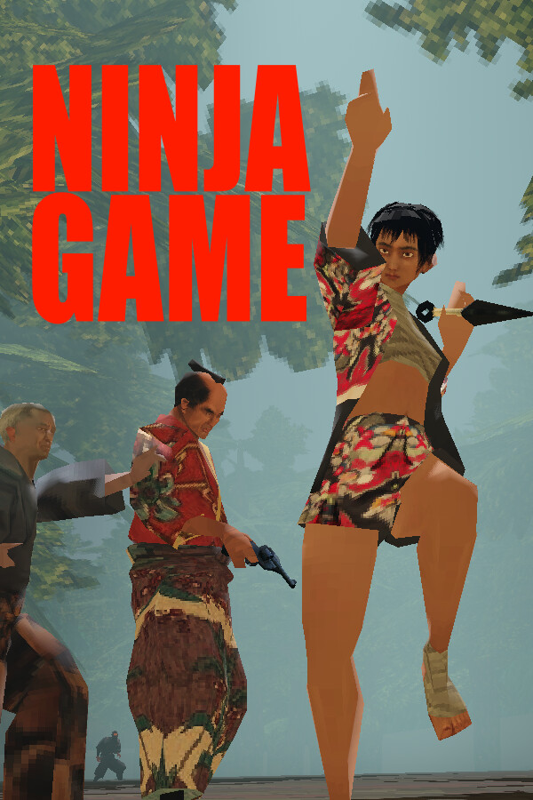 Ninja Game cover