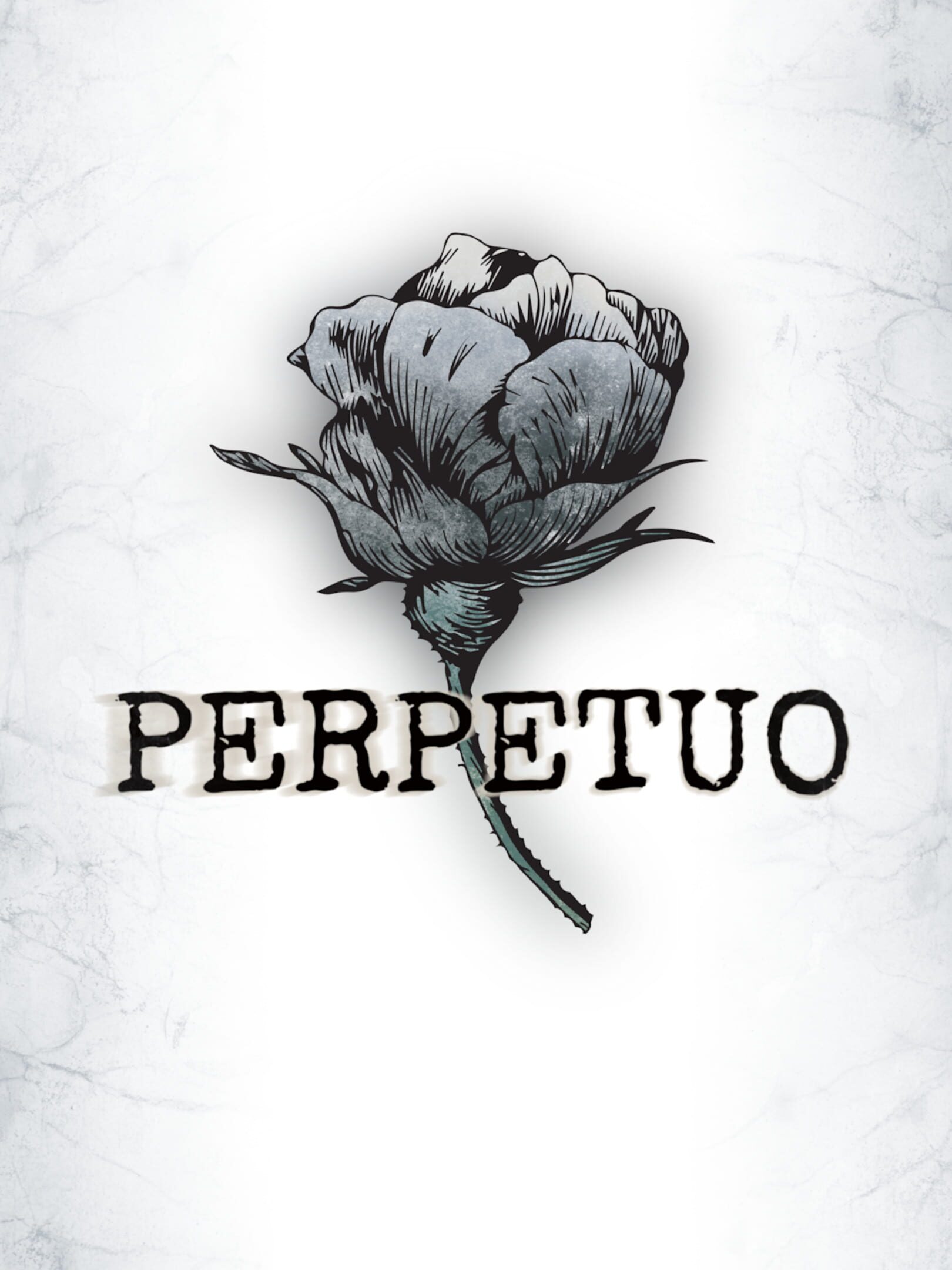Perpetuo cover