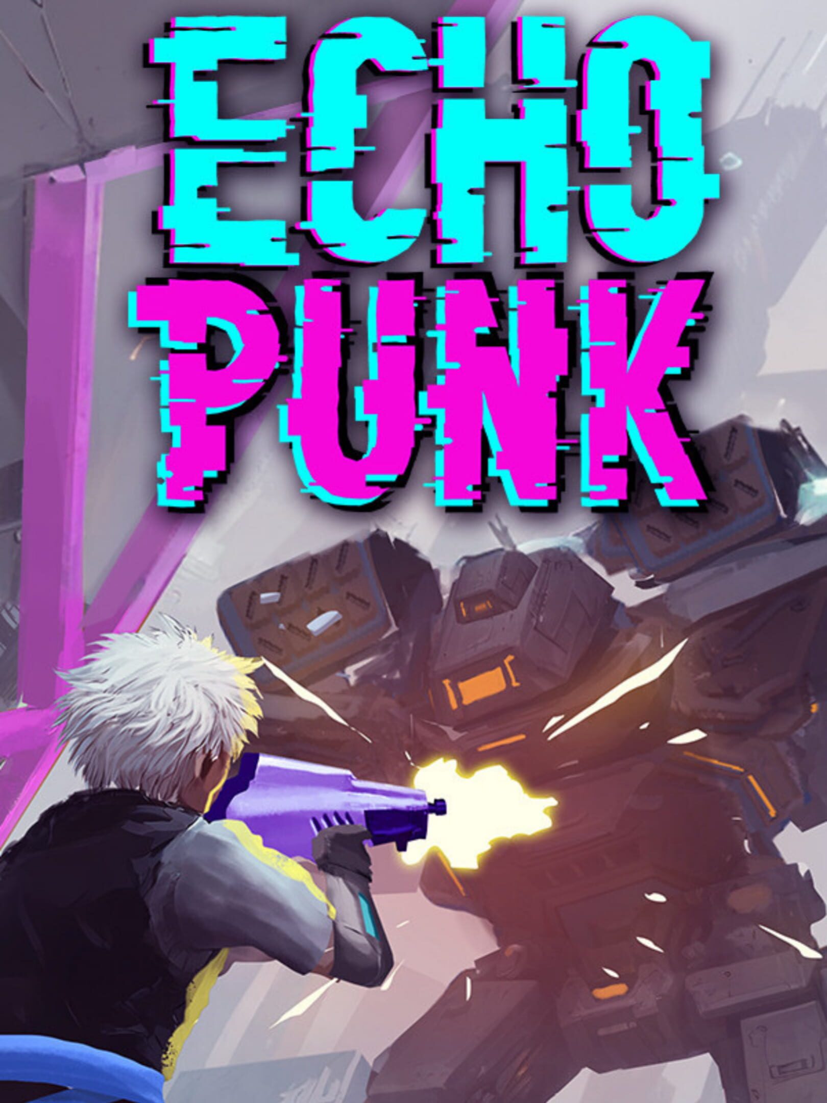 Echo Punk cover