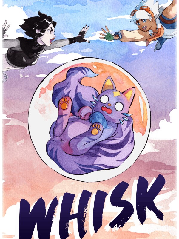Whisk cover