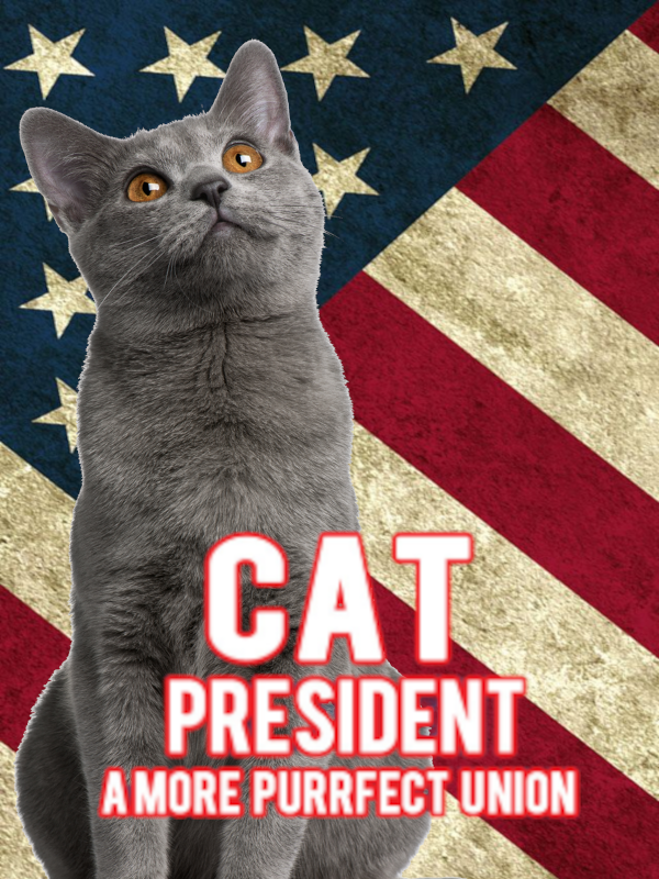 Cat President: 3rd-Rate Candidate cover