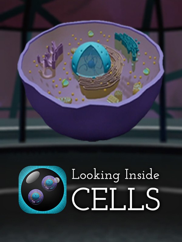 Looking Inside Cells cover