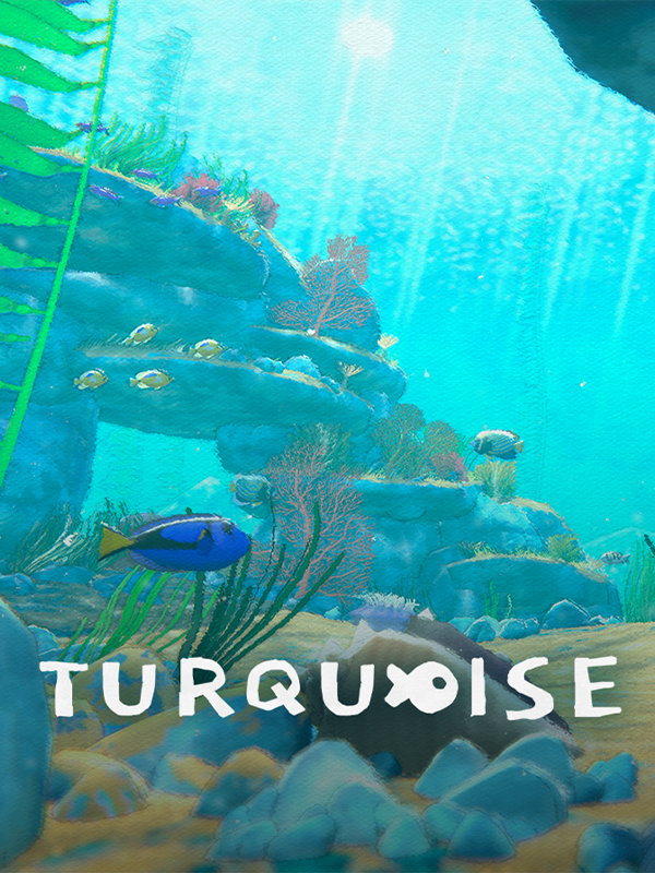 Turquoise cover