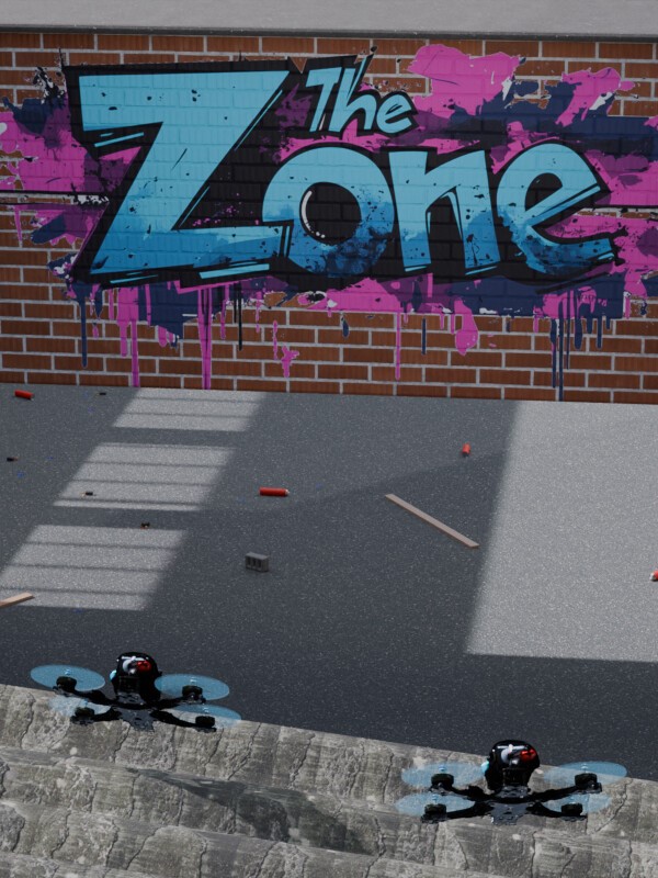 The Zone cover