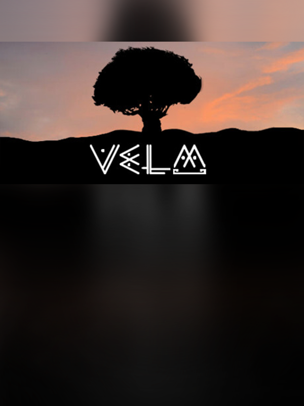 VeLM cover