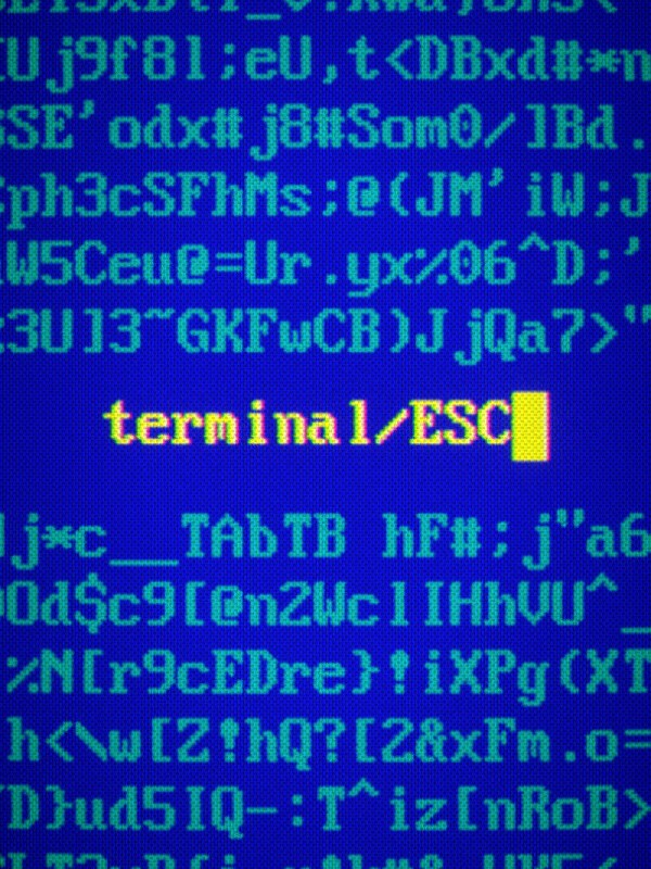 Terminal ESC cover