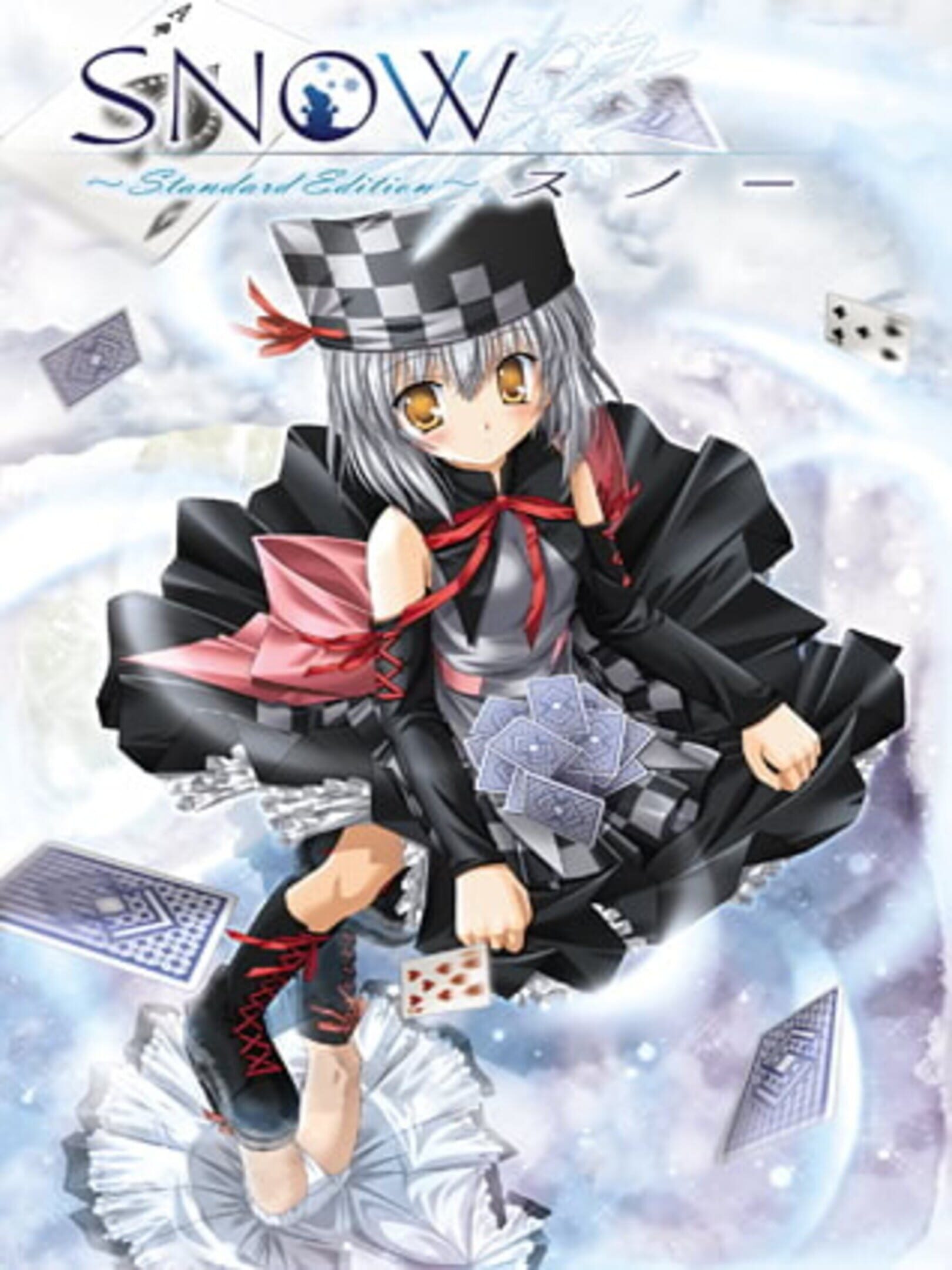 Snow cover