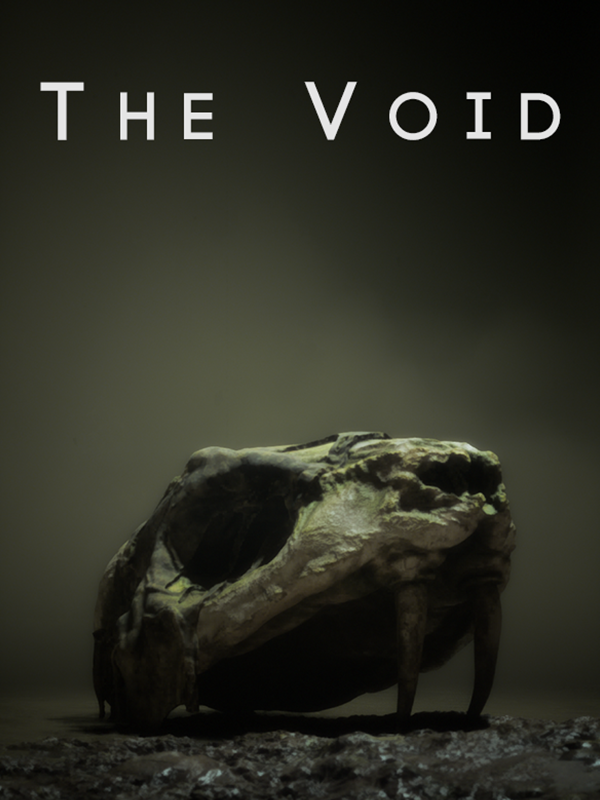 The Void cover