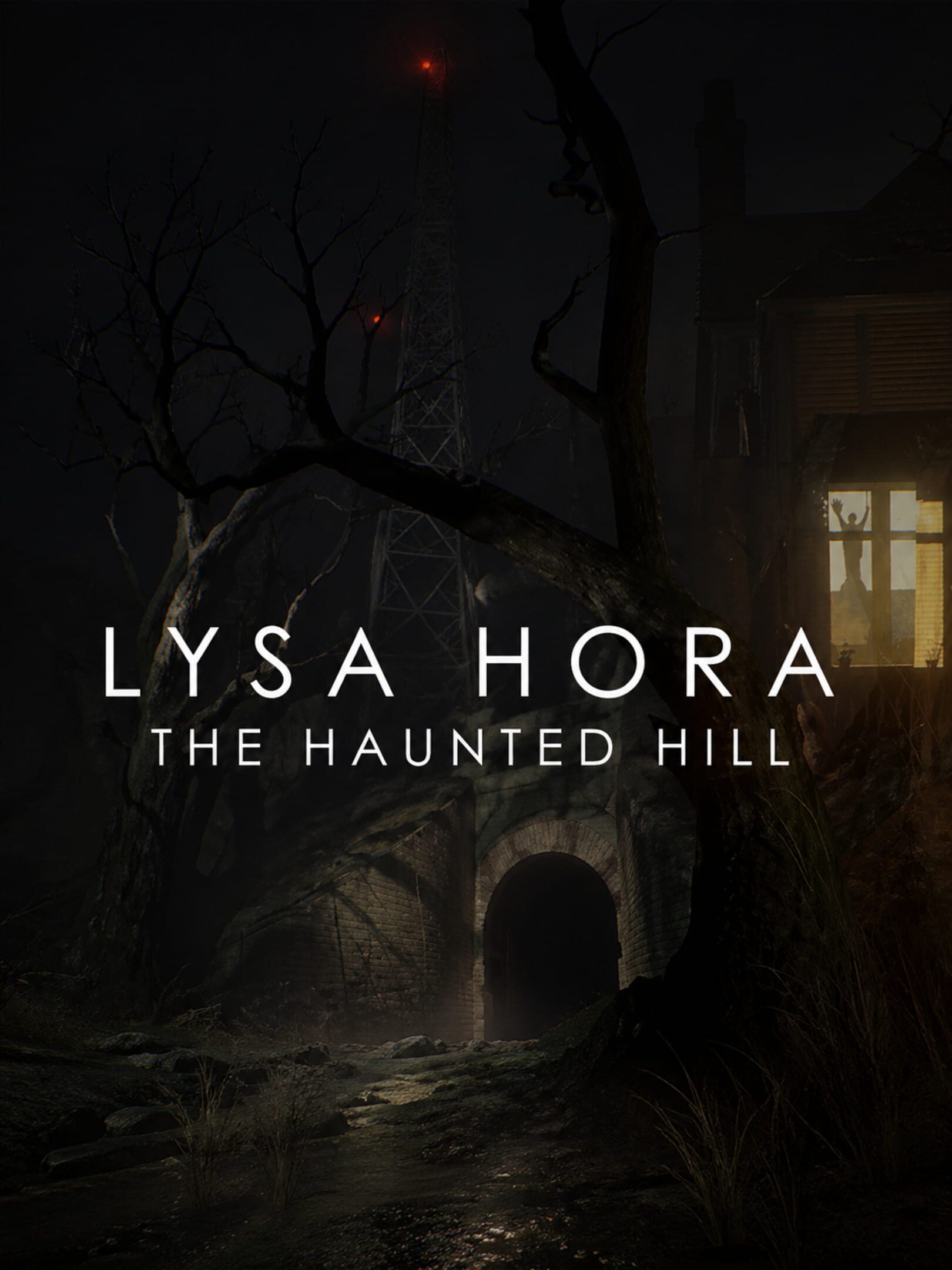 Lysa Hora: The Haunted Hill cover