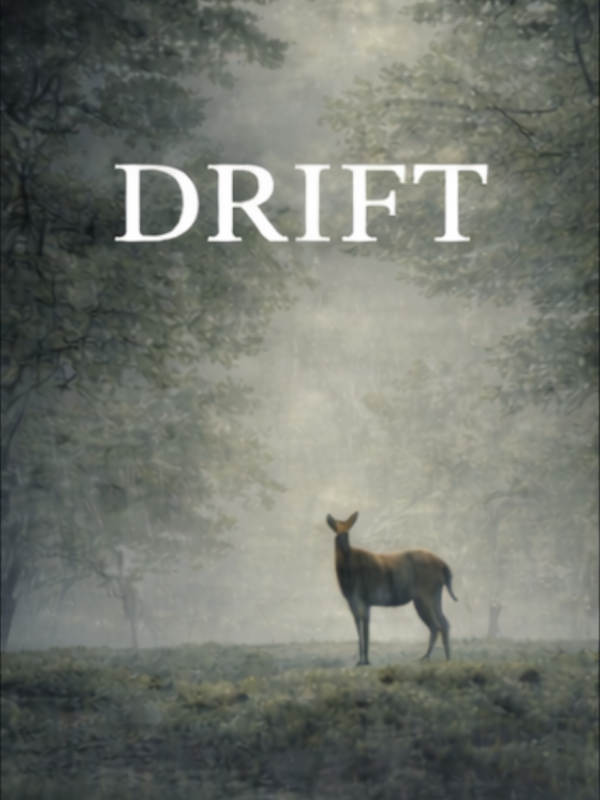 Drift cover