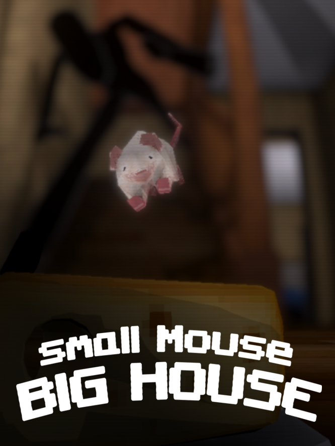 Small Mouse Big House cover