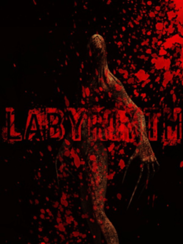 Labyrinth cover