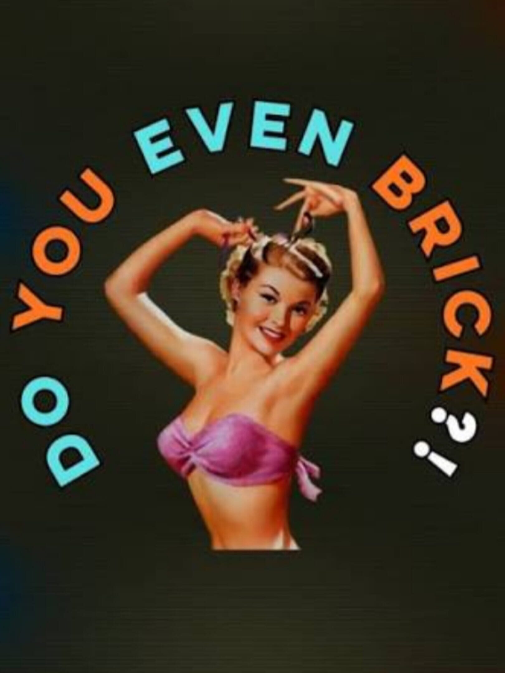 Do You Even Brick?! cover