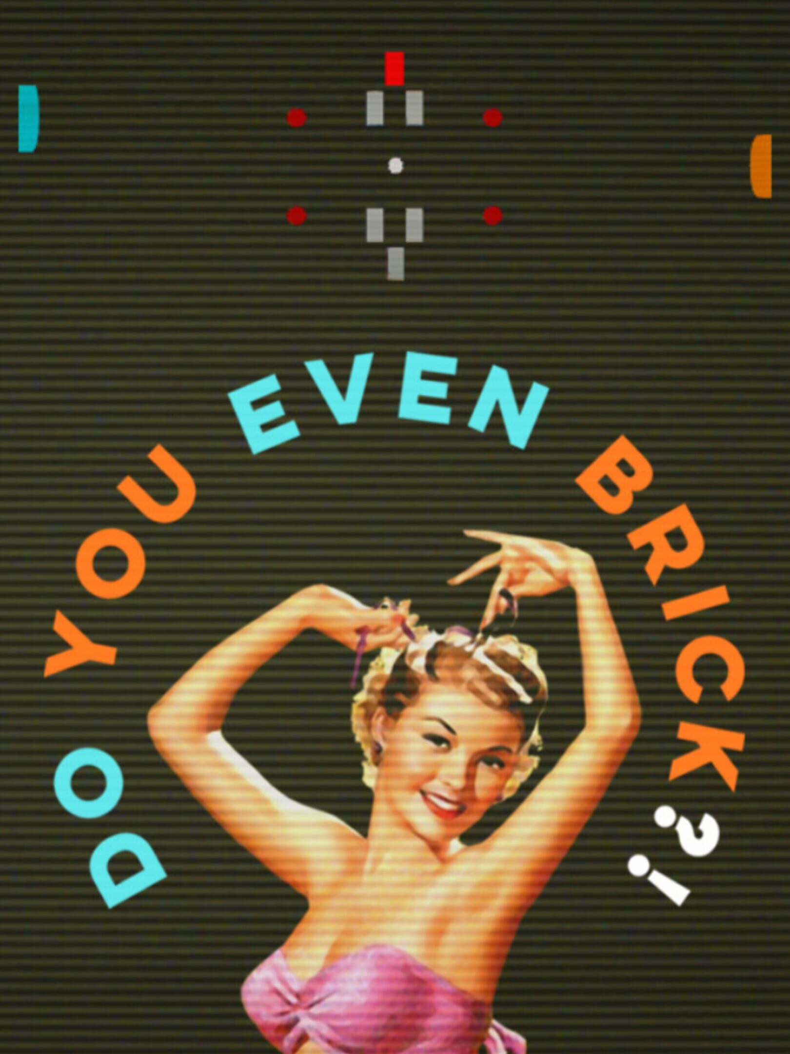 Do You Even Brick?! cover