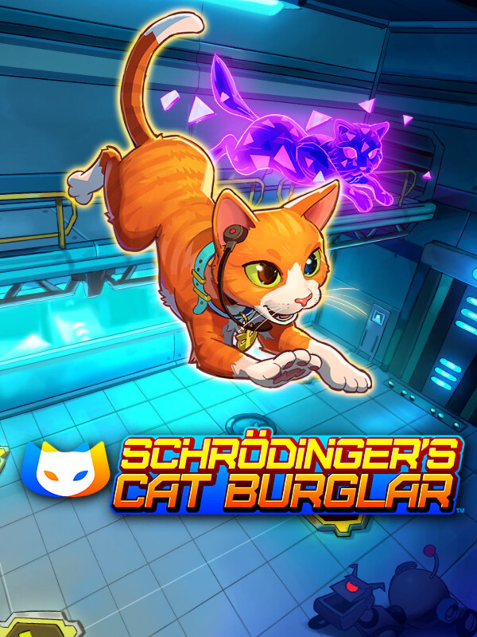 Schrodinger's Cat Burglar cover